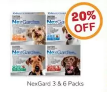 Nexgard -  3 & 6 Packs offers in Just For Pets