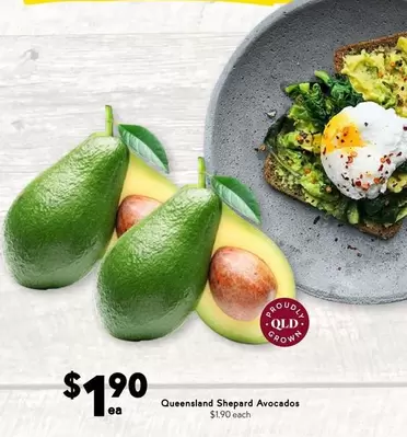Queensland Shepard Avocados offers at $1.9 in Drakes