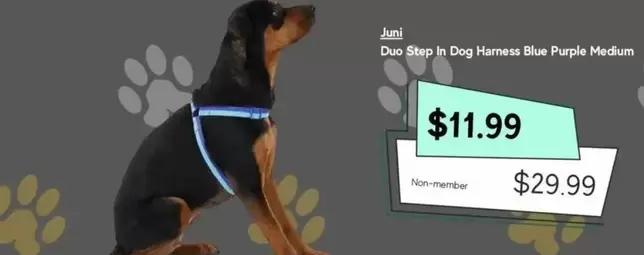 Juni - Duo Step In Dog Harness Blue Purple Medium offers at $11.99 in Petbarn