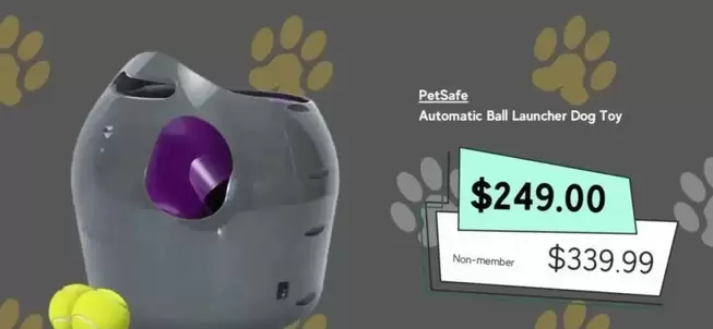PetSafe - Automatic Ball Launcher Dog Toy  offers at $249 in Petbarn