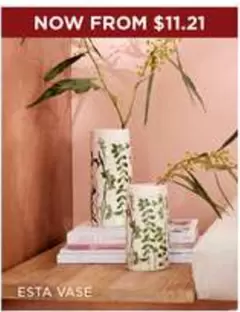 Esta Vase offers at $11.21 in Bed Bath N' Table