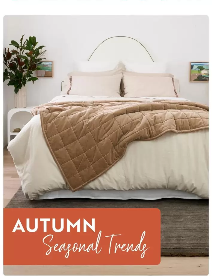 Seayonal Trends offers in Carpet Court