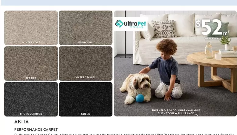 Percornmance Carpet offers at $52 in Carpet Court