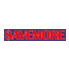 SAVEMORE logo